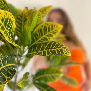 Model - Violeta feet