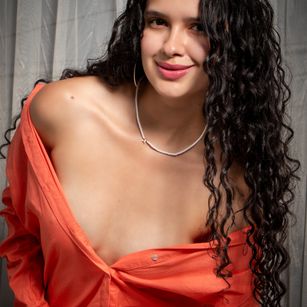 Model - Alaska Blue toys