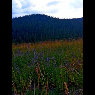 Model - Tanganika fastresponse