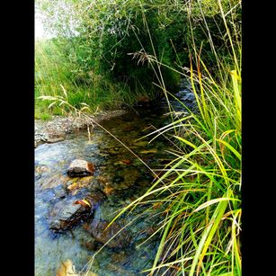 Model - Tanganika lovelysmile