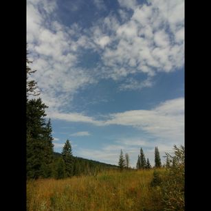 Model - Tanganika nicebody