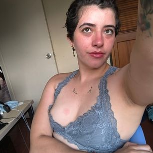 Model - Alicia shorthair