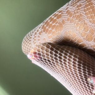 Model - Sex Goddess Nera mistress