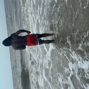 Model - BDBandit bdsm