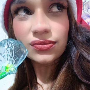 Model - ShainaFox Toys