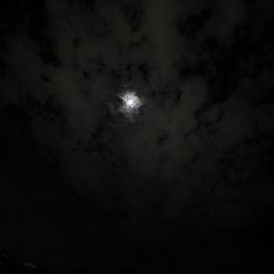 Model - Joss M. athetic