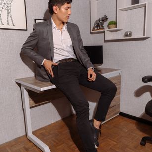 Model - MaxFischerr domination