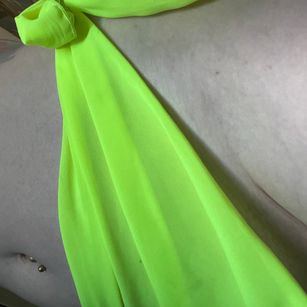 Model - Veronica findom