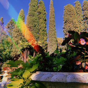 Model - Dalia_peach stockings