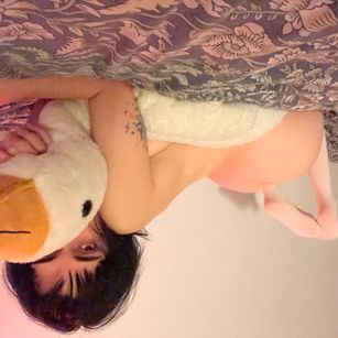 Model - Ewiwi EvA sph