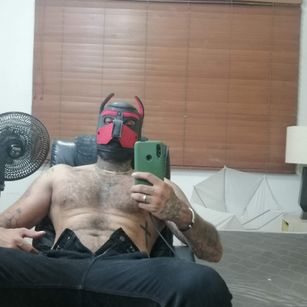 Model - Dhamian_wolf_hunter Belludo