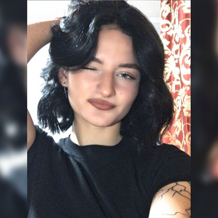 Model - Cherrybane OpenDialog