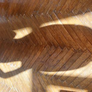 Model - Eveeve looner