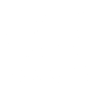 Model - Testacc test