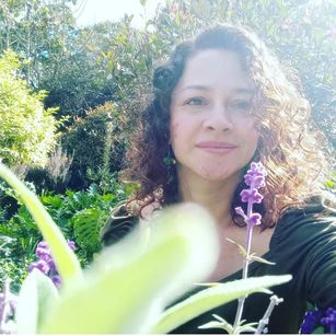 Model - artesana toys