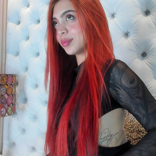 Model - Polygonnia latina