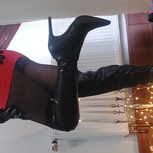 Model - MissDyannis control