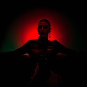 Model - SkylarSpark joi