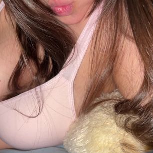 Model - OrientalBunny longlegs