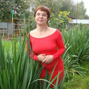 Model - Destinykiss toys