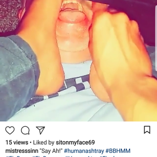 Model - Mistress  Sinn paypigs