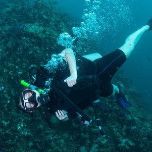 Model - Saffi edging