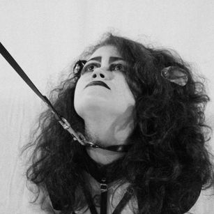 Model - Kleine Katze Kitten