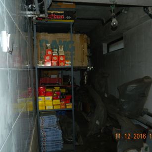 Model - LustfulX curved