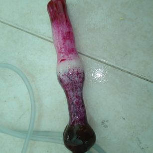 Model - Julia Dirty Slut spanking