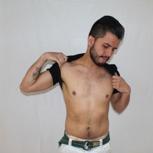 Model - ERU_CORVINUS1 smoke