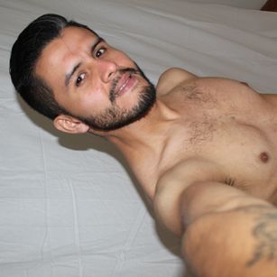 Model - ERU_CORVINUS1 peludo