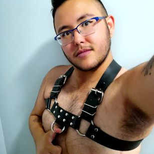 Model - vanDamme anal