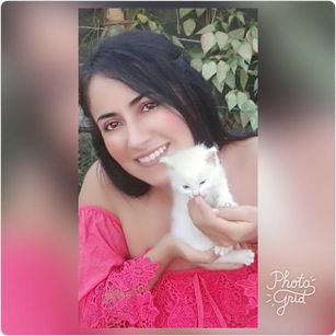 Model - geralwet dance