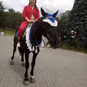 Model - Destinykiss strip