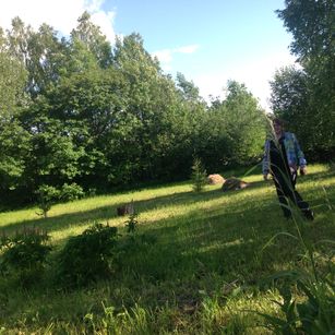 Model - Destinykiss pussy