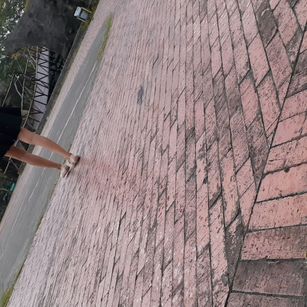 Model - Shaira blowjob