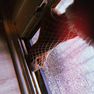 Model - the Sapiosuccubus SimpCollector