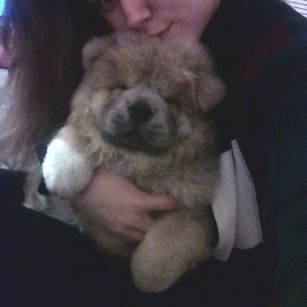 Model - SexyNika flirt