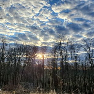 Model - Learning2mistress269 milf