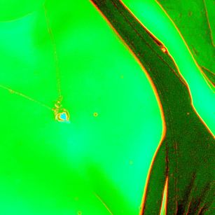 Model - Lily Cox sweet