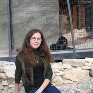 Model - Carolina2020 chat