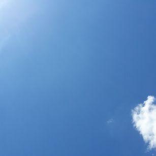 Model - Lady Thania bigtits