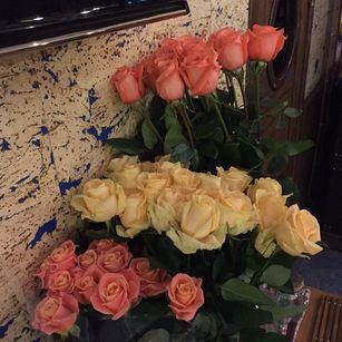 Model - MissDian CB6000