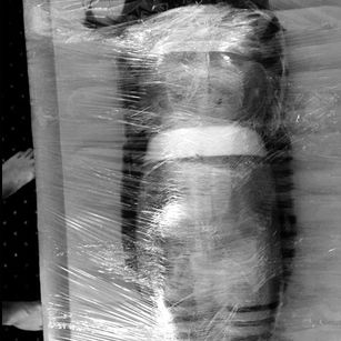 Model - Knotty Girl kinky