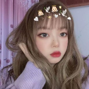 Model - Liuyan actapart