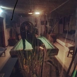 Model - Sexyelix deport