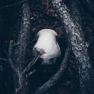 Model - littleredhead410 bdsm