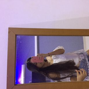 Model - Honneybee anal