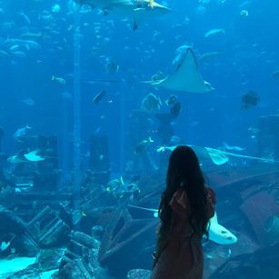 Model - Littlekitty666 communication