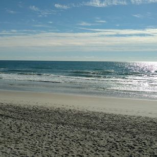 Model - Misty Dareious Sexyvoice